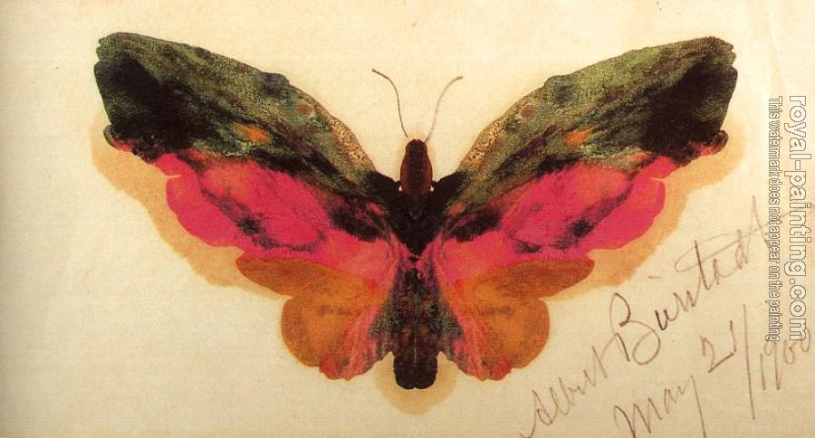 Albert Bierstadt : Butterfly